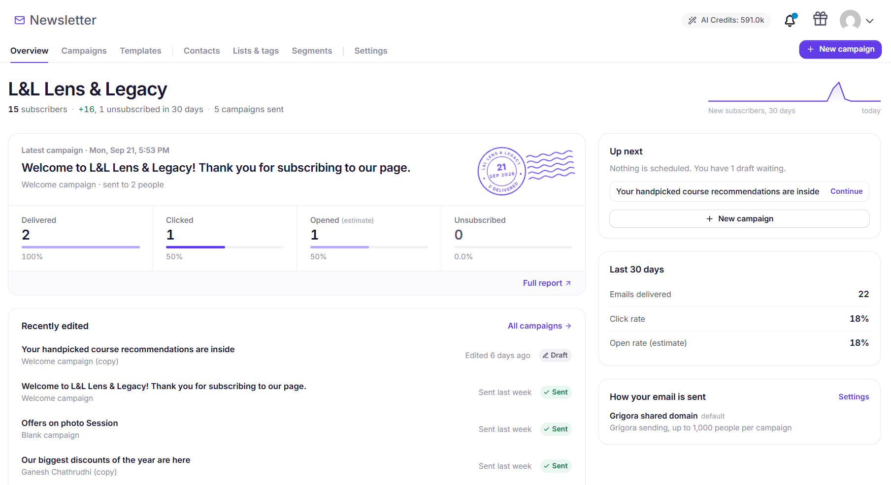 Grigora Newsletter overview showing subscribers, campaigns, delivery, and engagement